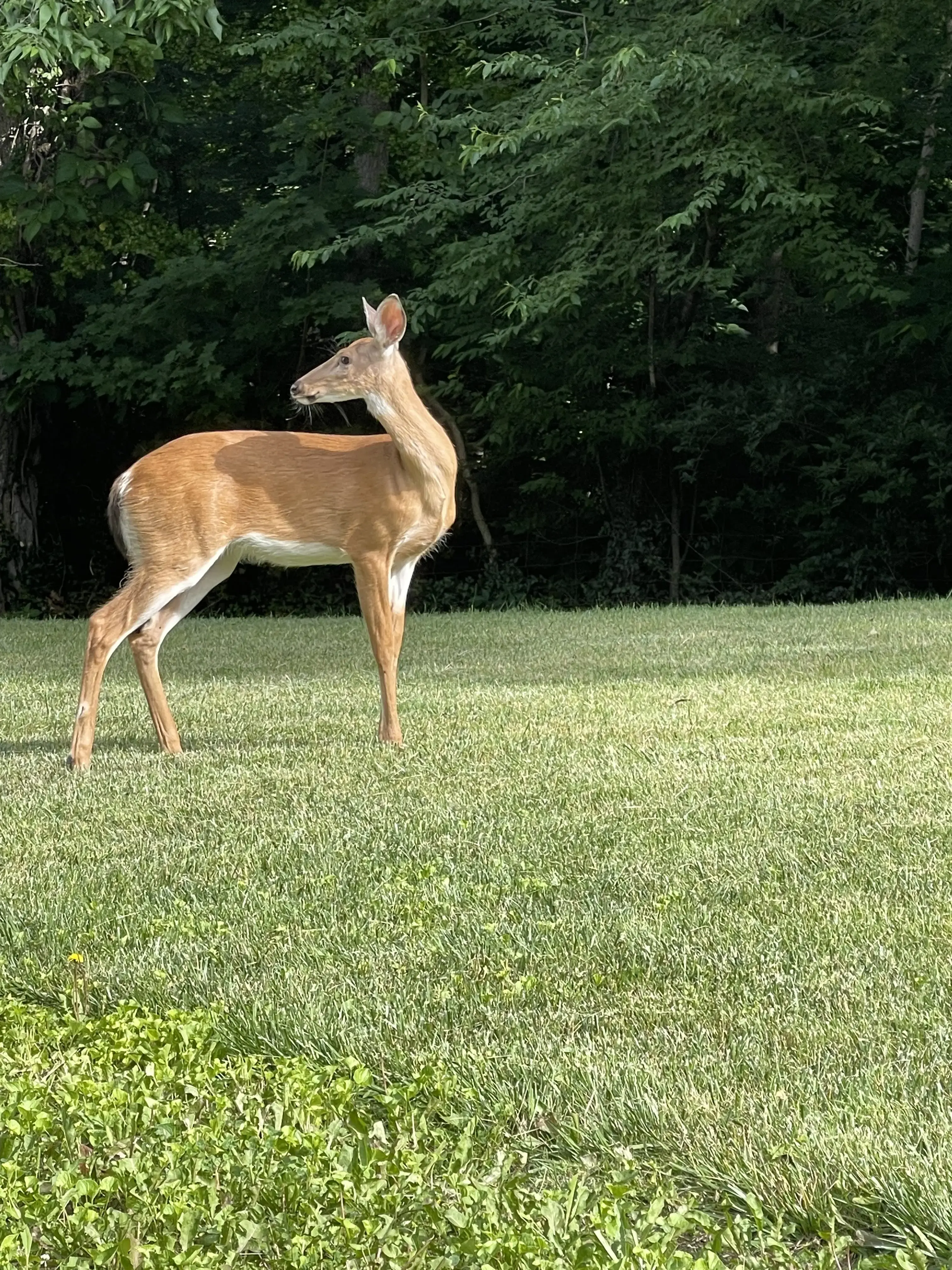 Addiction Rehab Centers - ARC | Drug & Alcohol Rehab - Addiction Treatment in Indianapolis, IN - Image 15 of 20