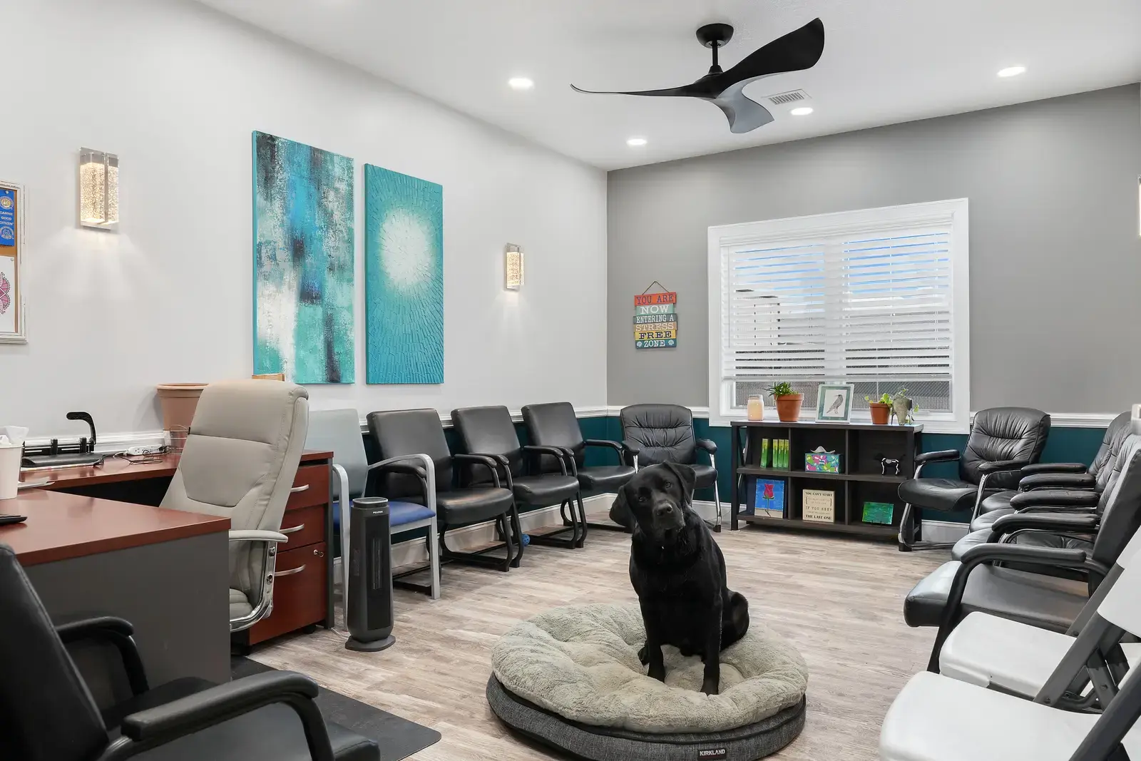 Allendale Treatment - Image 18 of 20