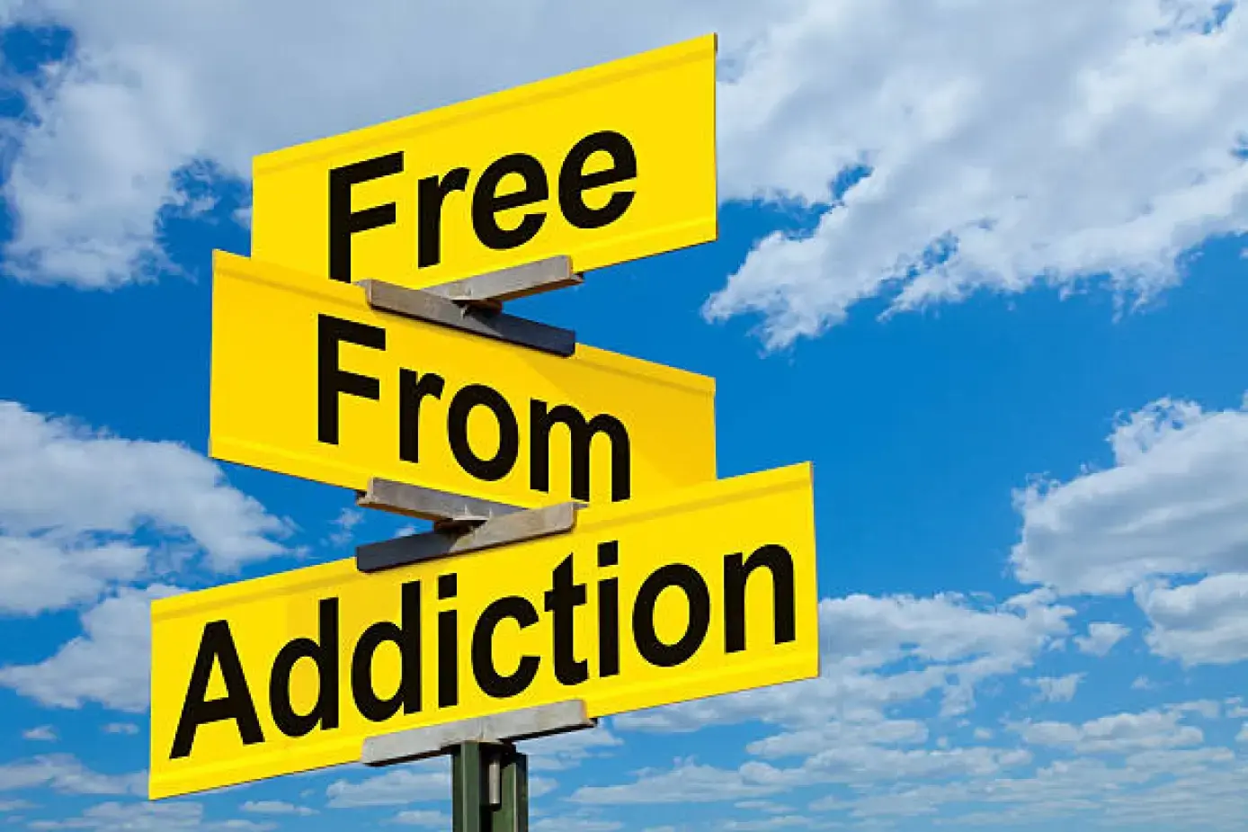 Alliance MD - Image 3 of 5