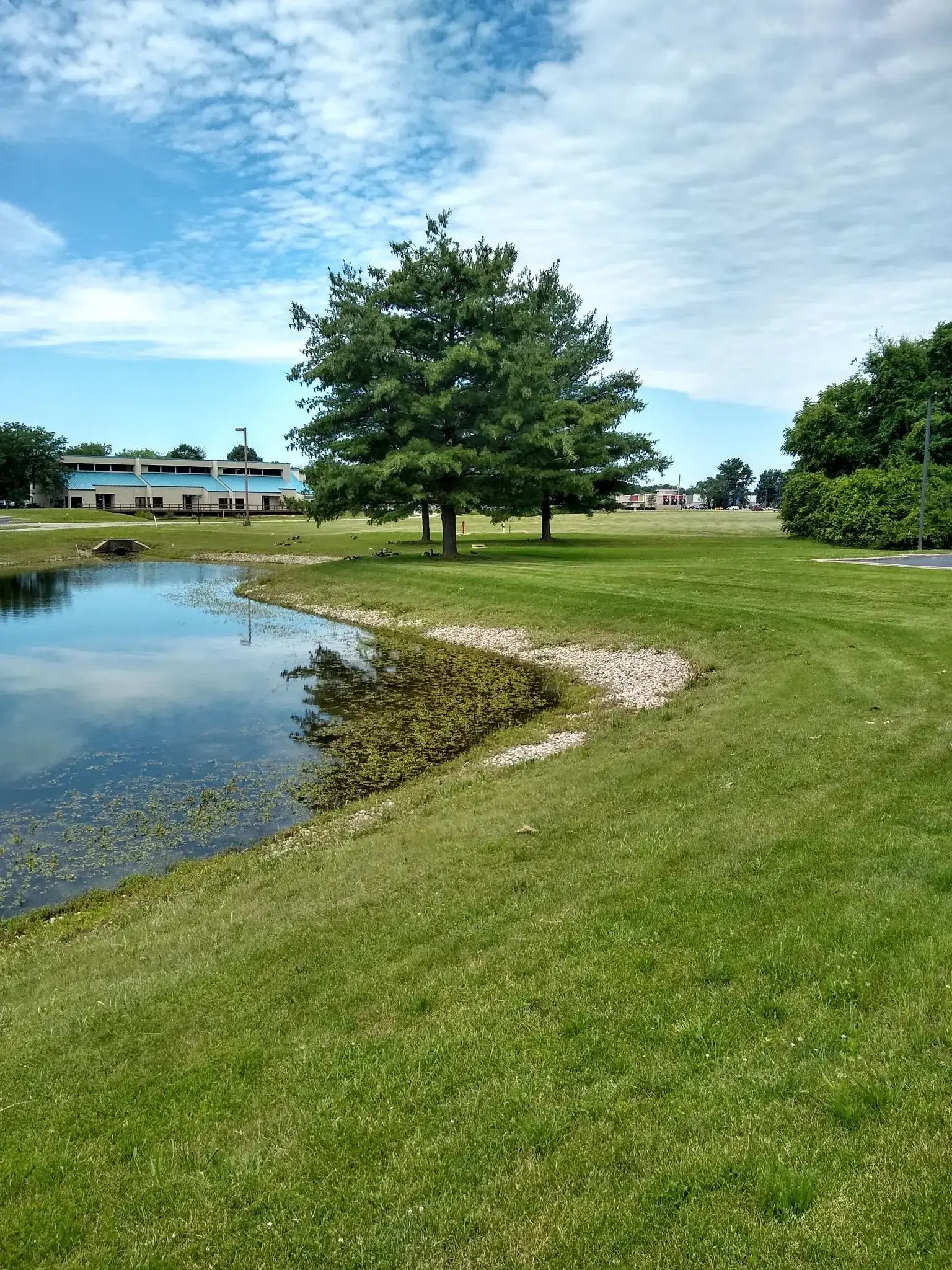 Anabranch Recovery Center - Image 5 of 20