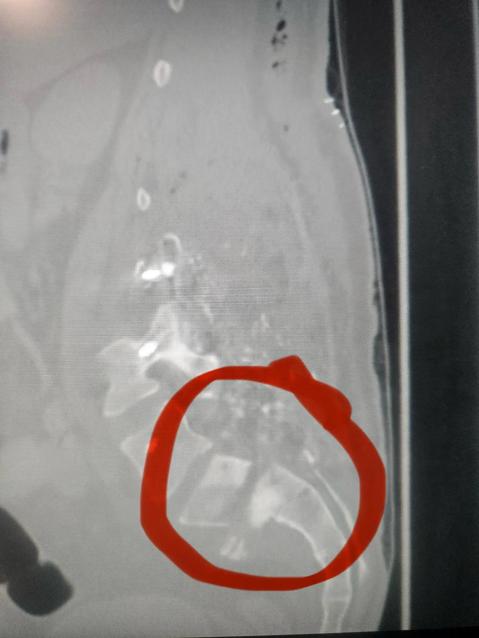 Dr. Malek’s Office – Primary Care, Senior Care & Mental Health - Image 8 of 18