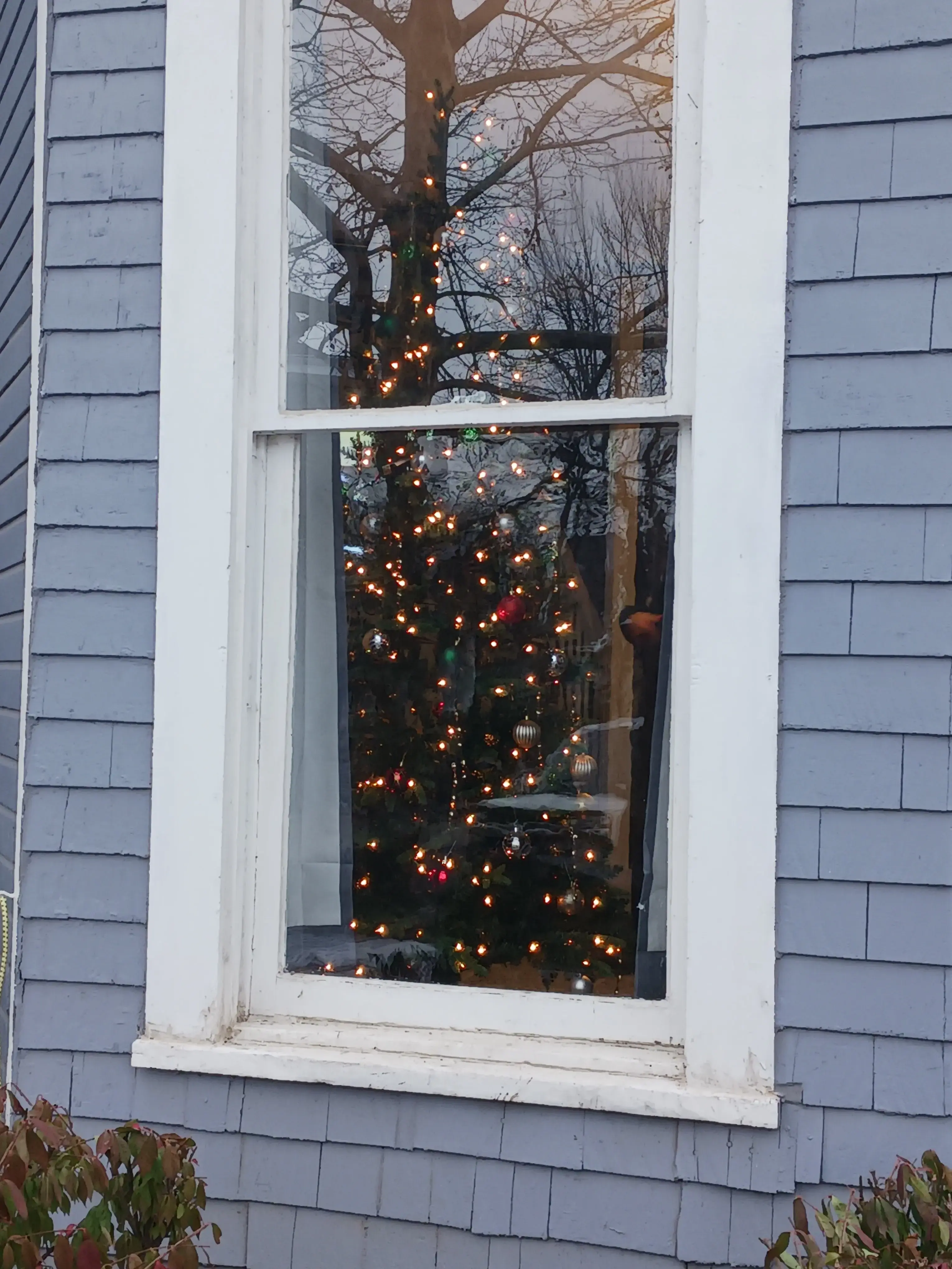 Elevate Recovery - Image 10 of 20