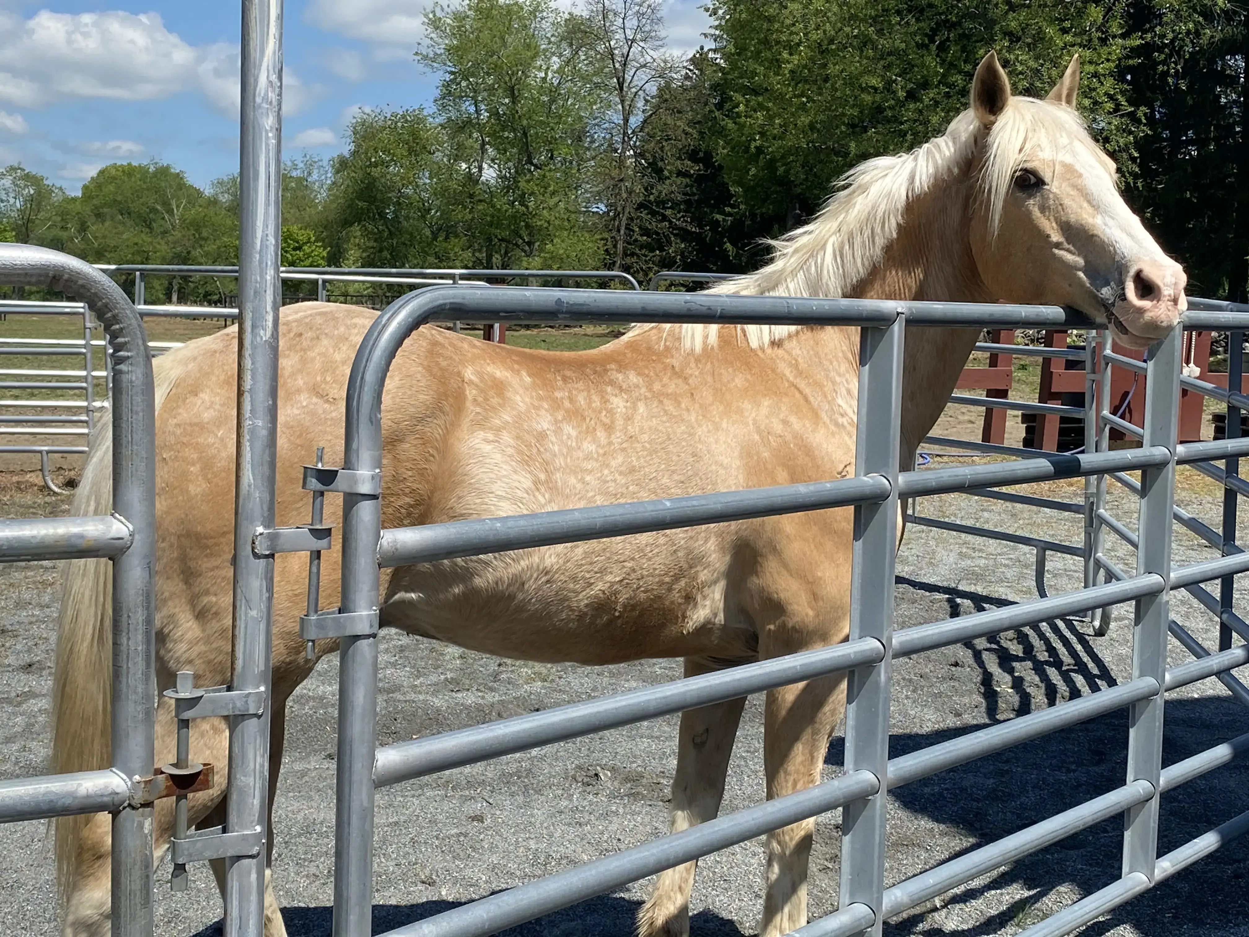 Kentuckiana Integrative Medicine - Image 9 of 20