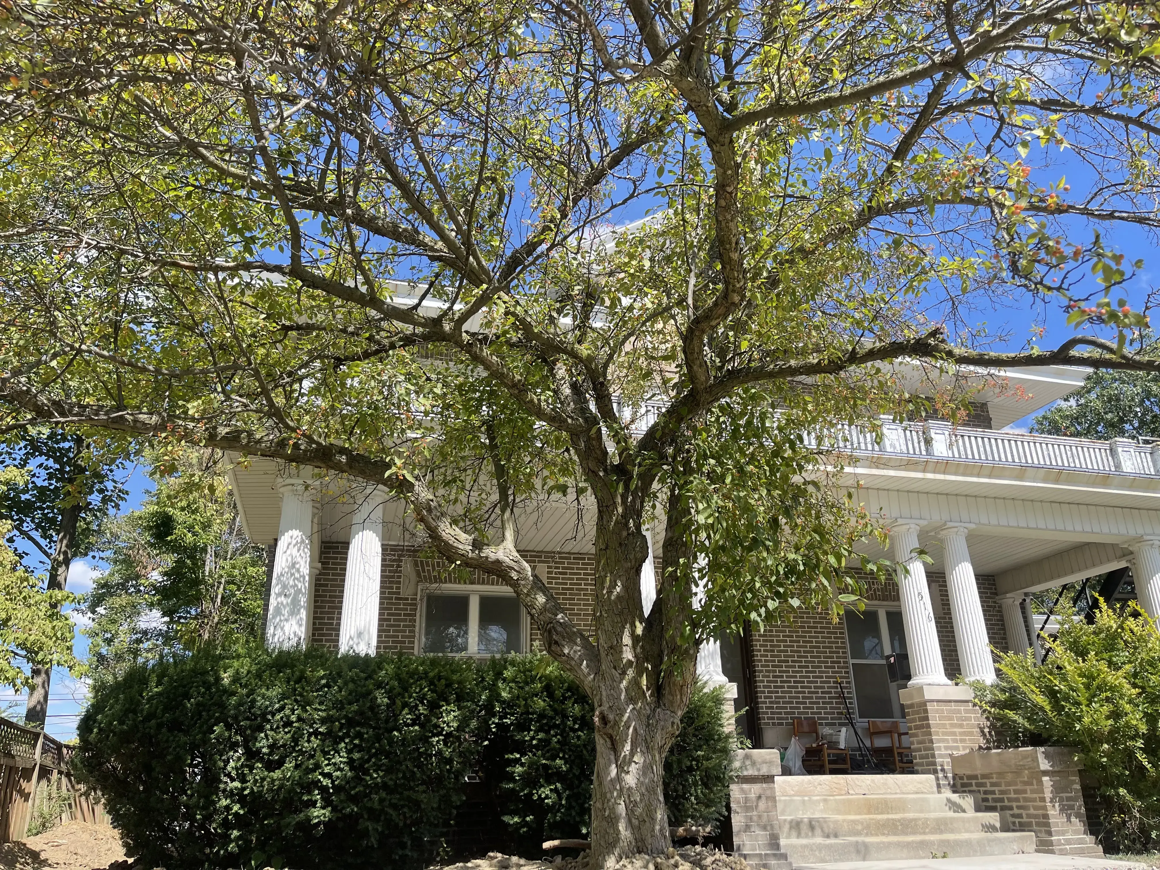 Monarch Recovery - Image 6 of 20