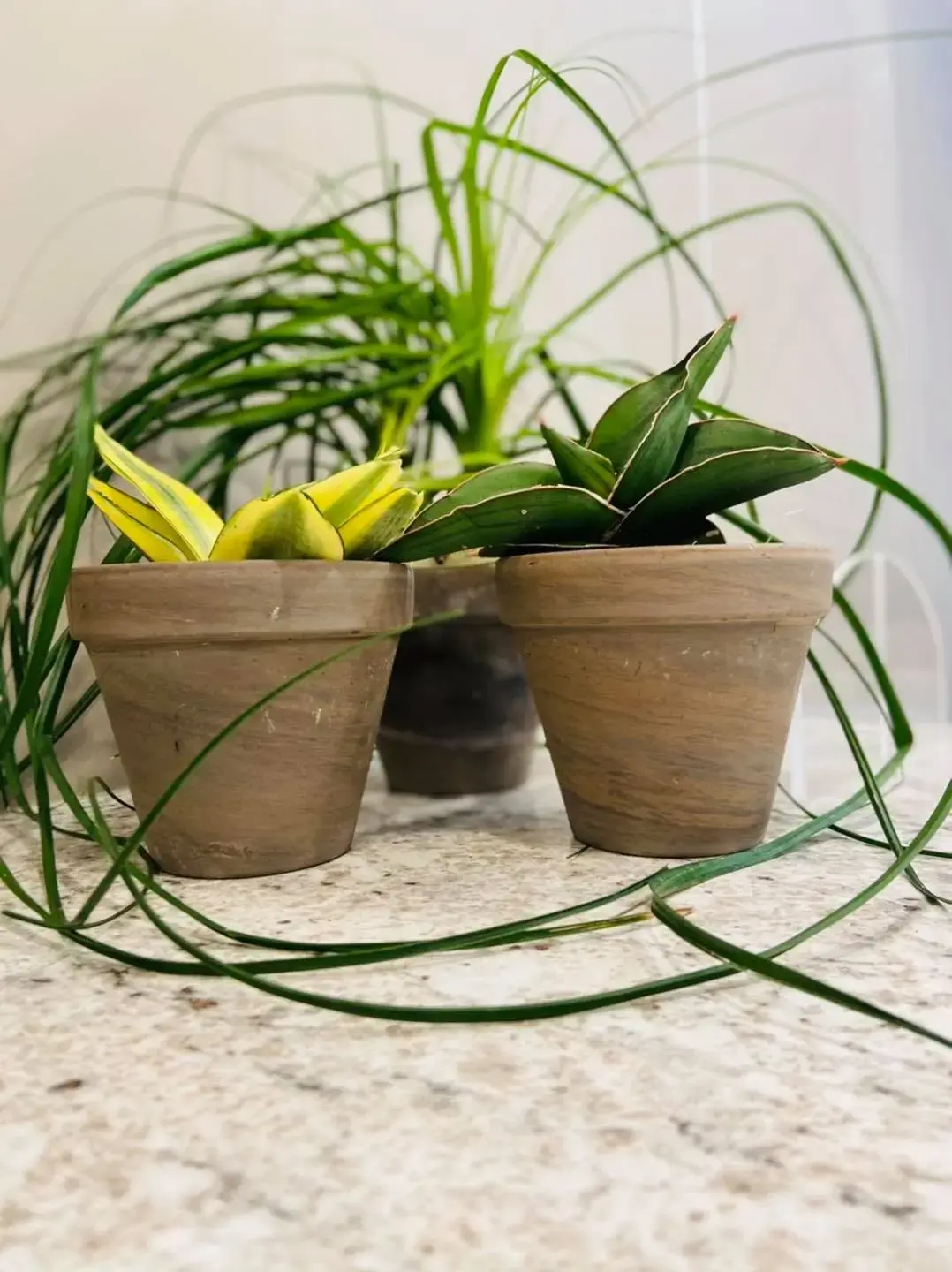 Munster Behavioral Health - Best Counseling, Psychiatric, Crisis Intervention, Addiction Treatment - Image 12 of 14