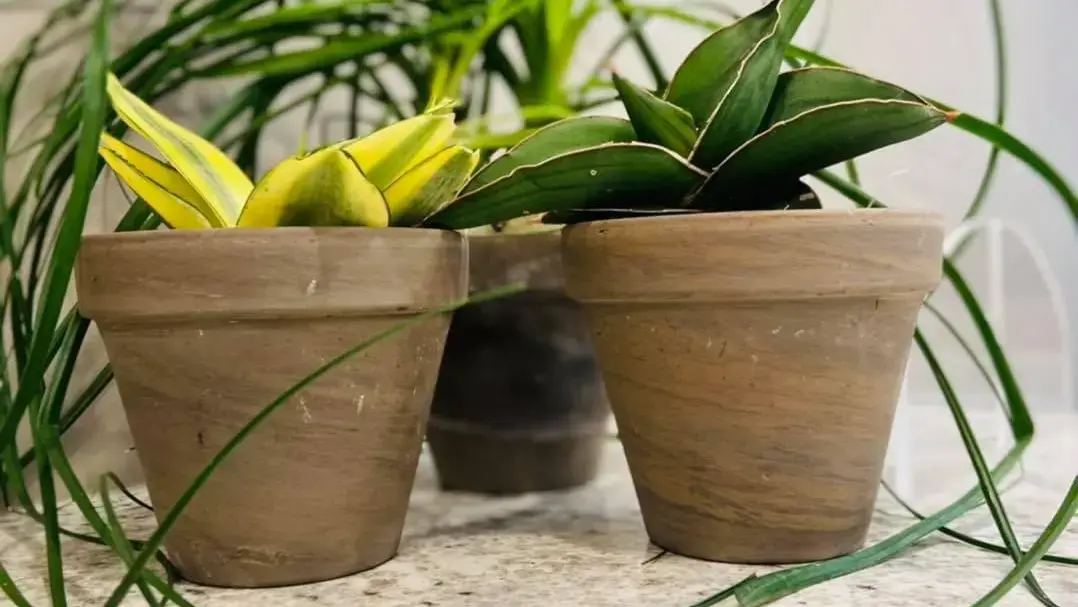 Munster Behavioral Health - Best Counseling, Psychiatric, Crisis Intervention, Addiction Treatment - Image 11 of 14