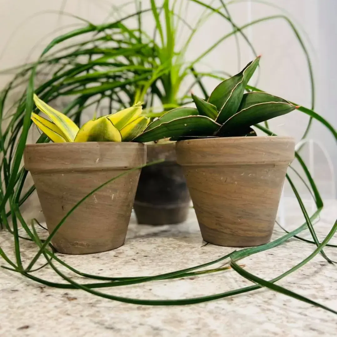 Munster Behavioral Health - Best Counseling, Psychiatric, Crisis Intervention, Addiction Treatment - Image 10 of 14