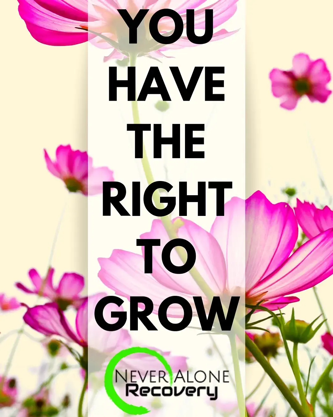 Never Alone Recovery - Image 9 of 20