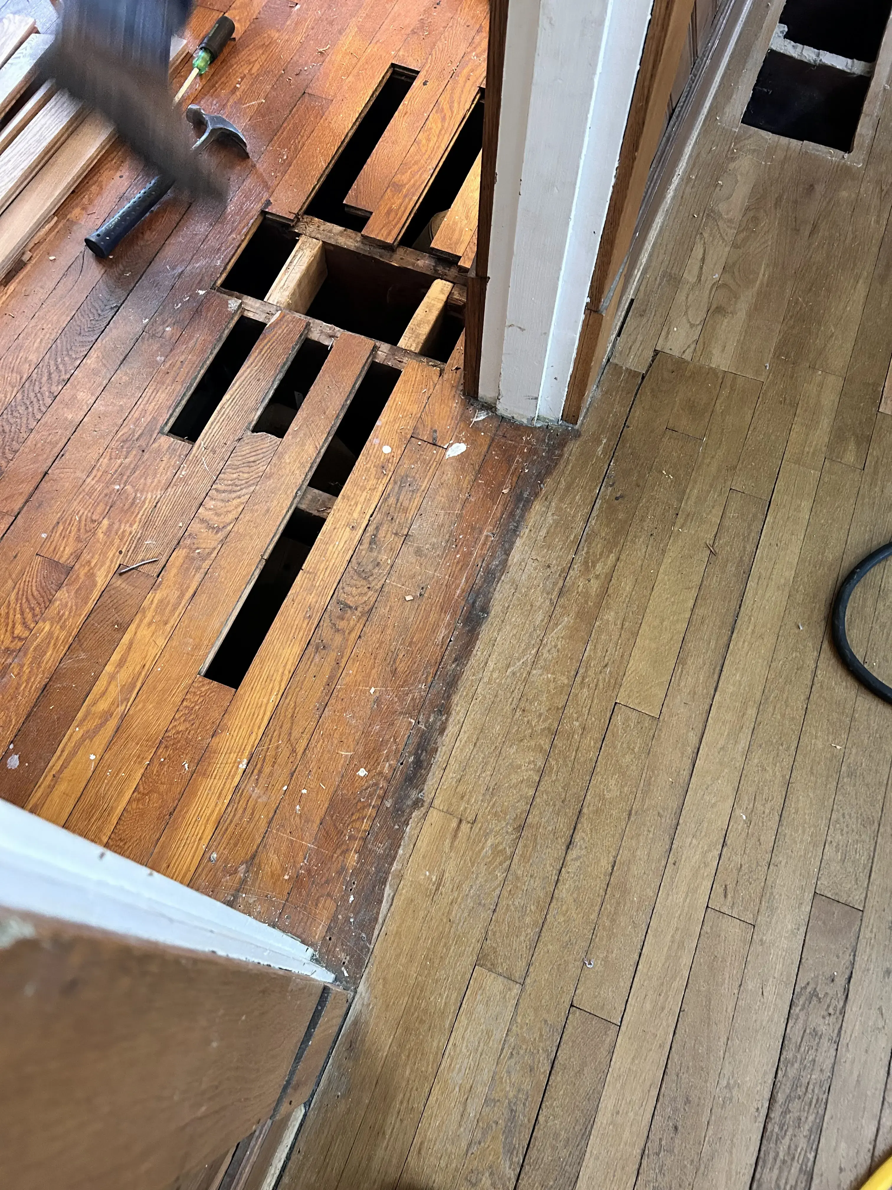 Spero Health - Image 10 of 20