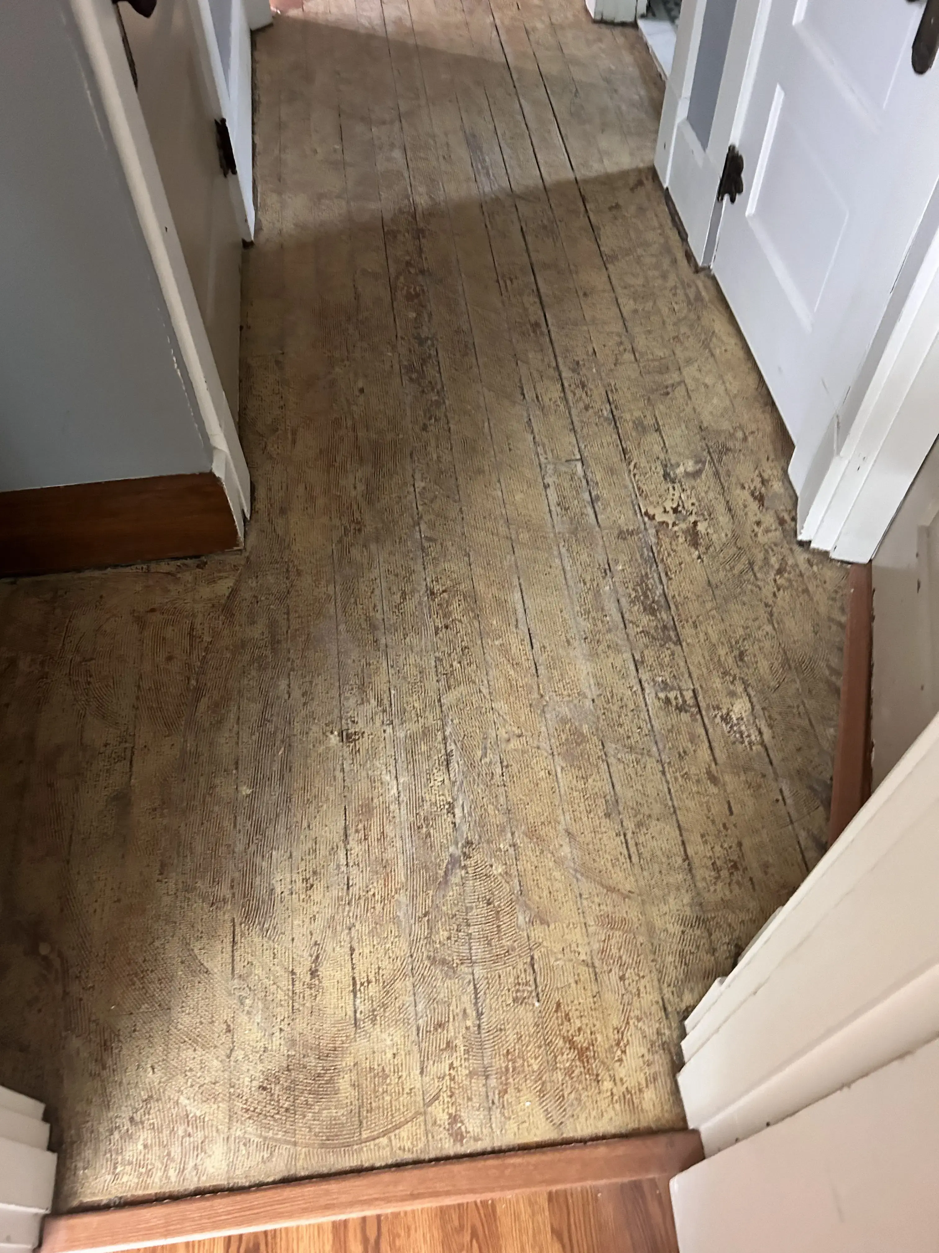 Spero Health - Image 19 of 20