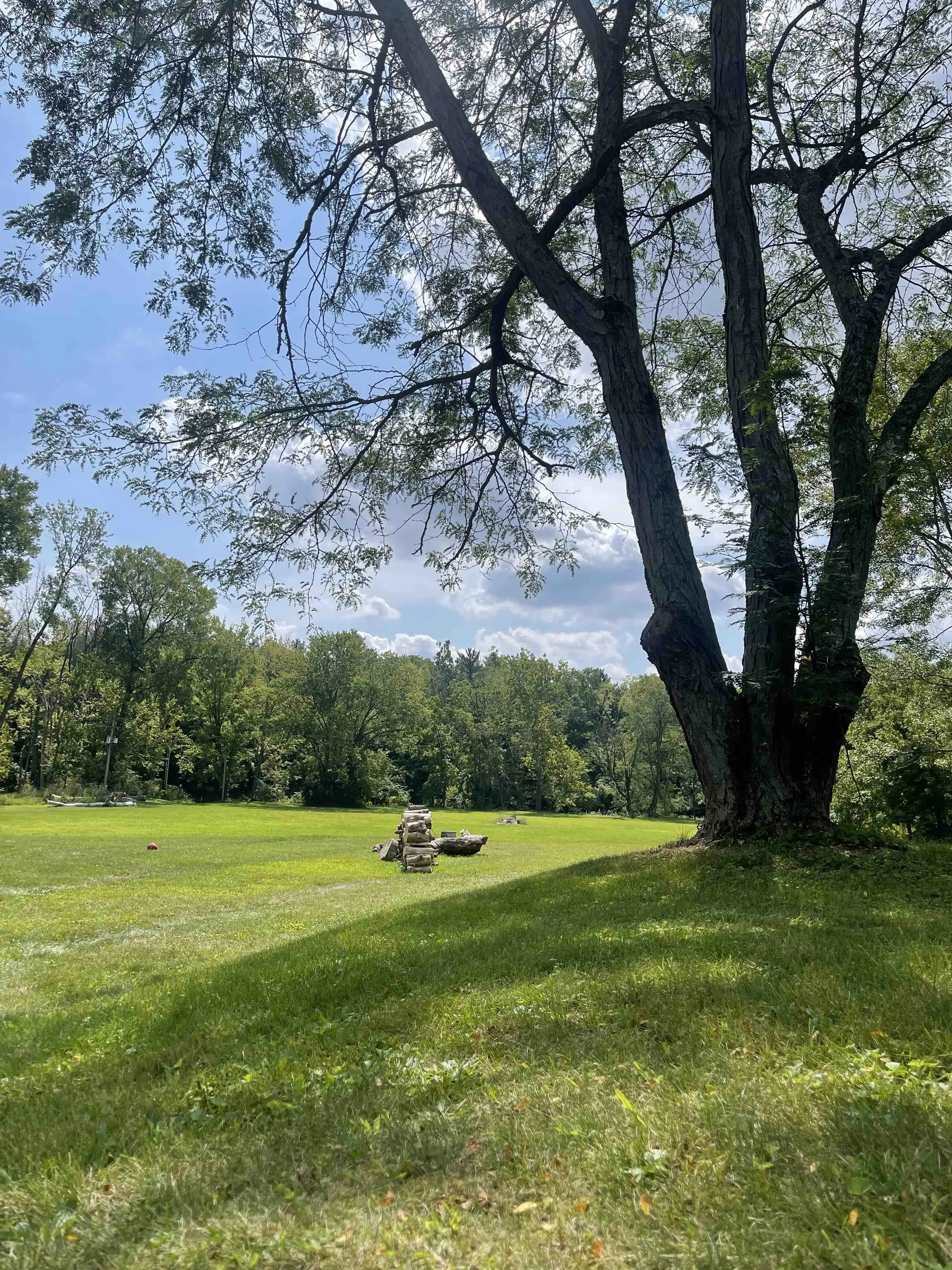 Still Water on the Wildcat Recovery - Image 6 of 19