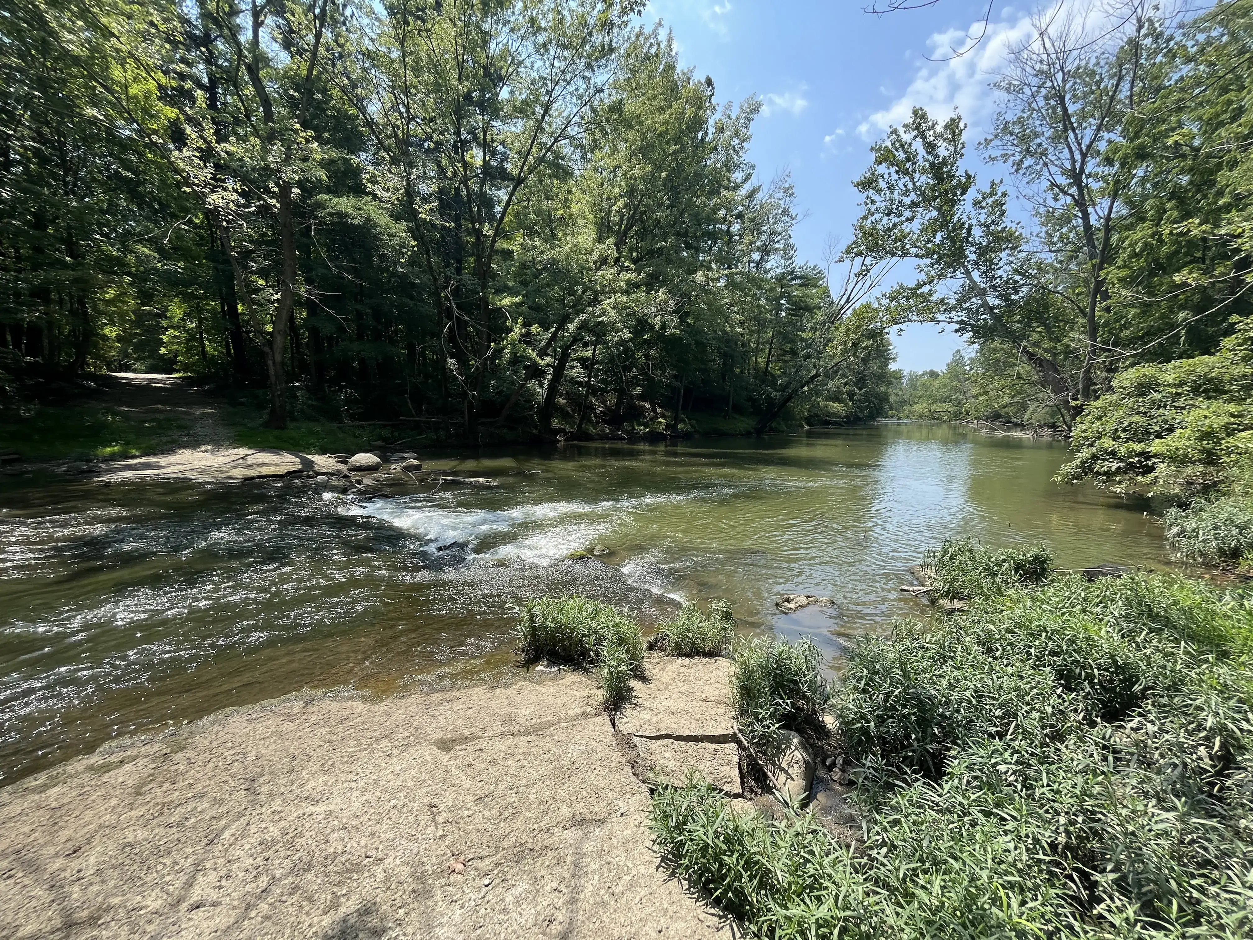 Still Water on the Wildcat Recovery - Image 4 of 19