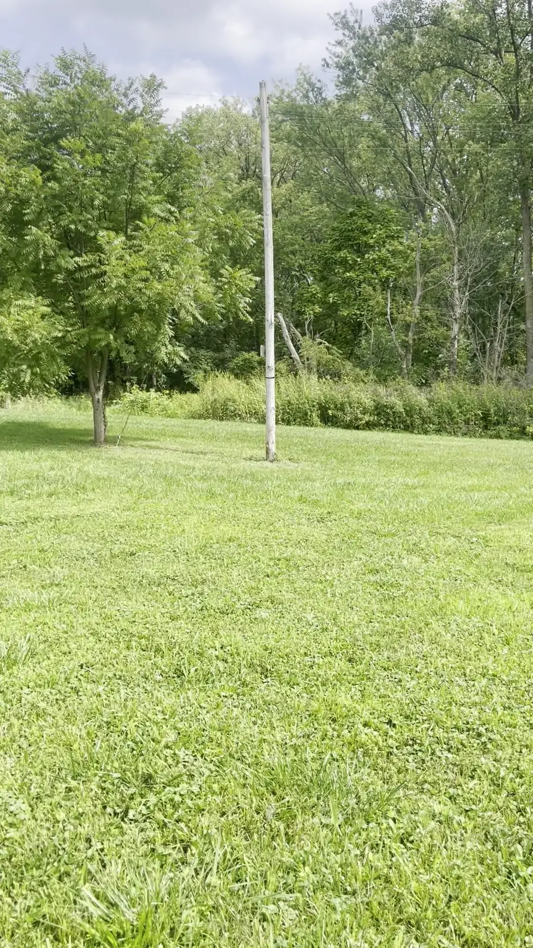 Still Water on the Wildcat Recovery - Image 17 of 19