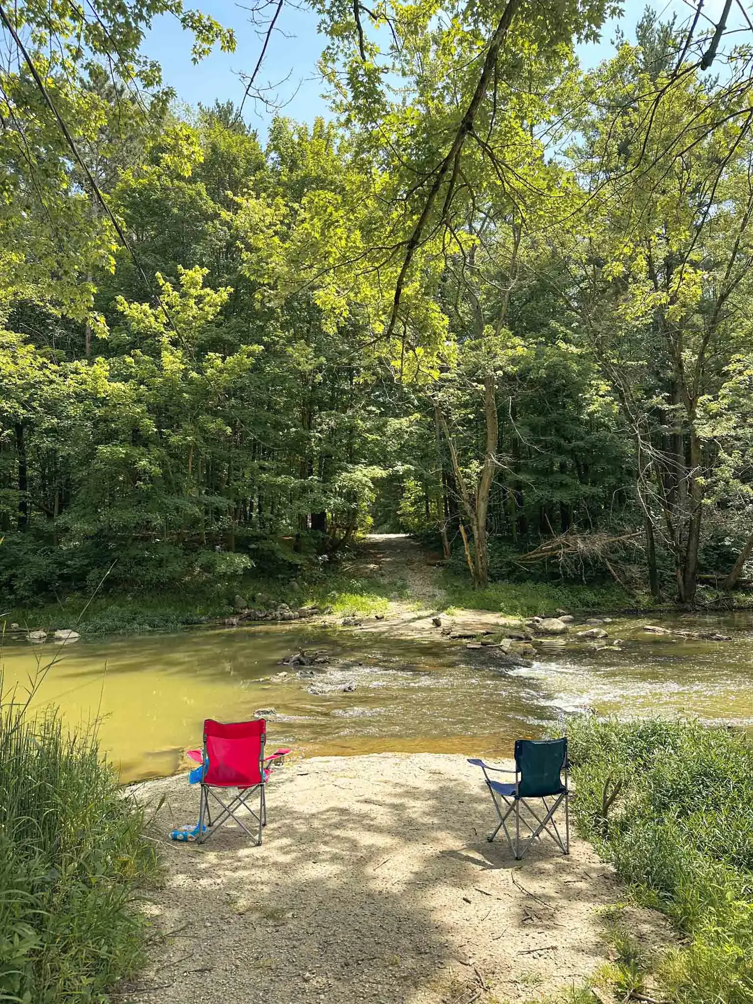 Still Water on the Wildcat Recovery - Image 5 of 19