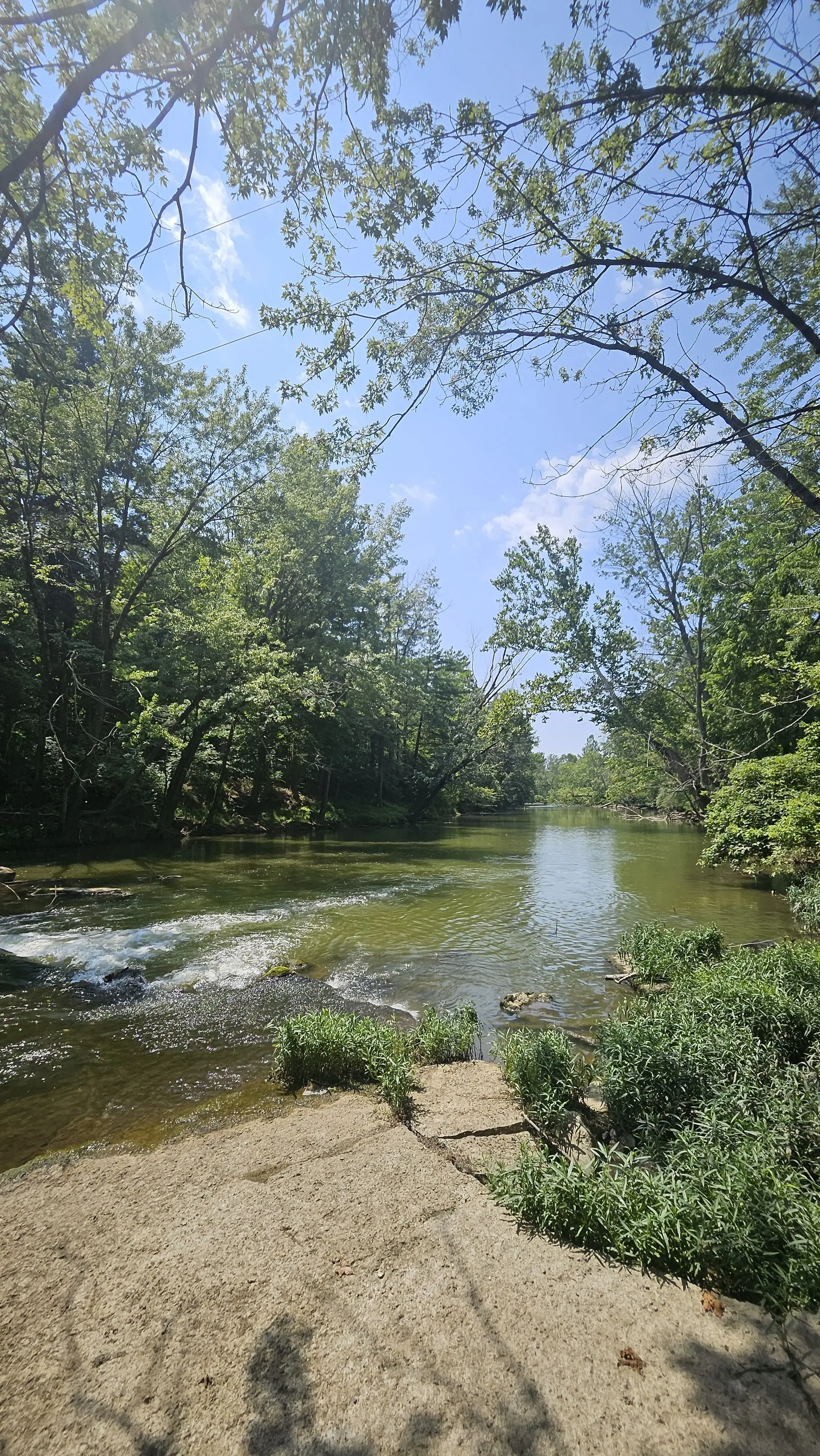 Still Water on the Wildcat Recovery - Image 11 of 19