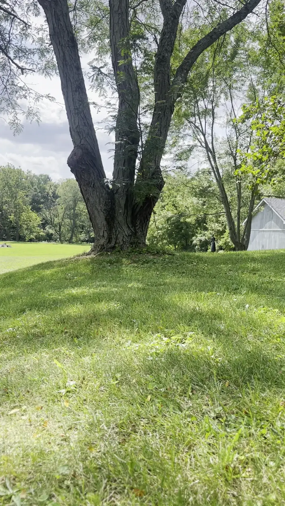 Still Water on the Wildcat Recovery - Image 18 of 19