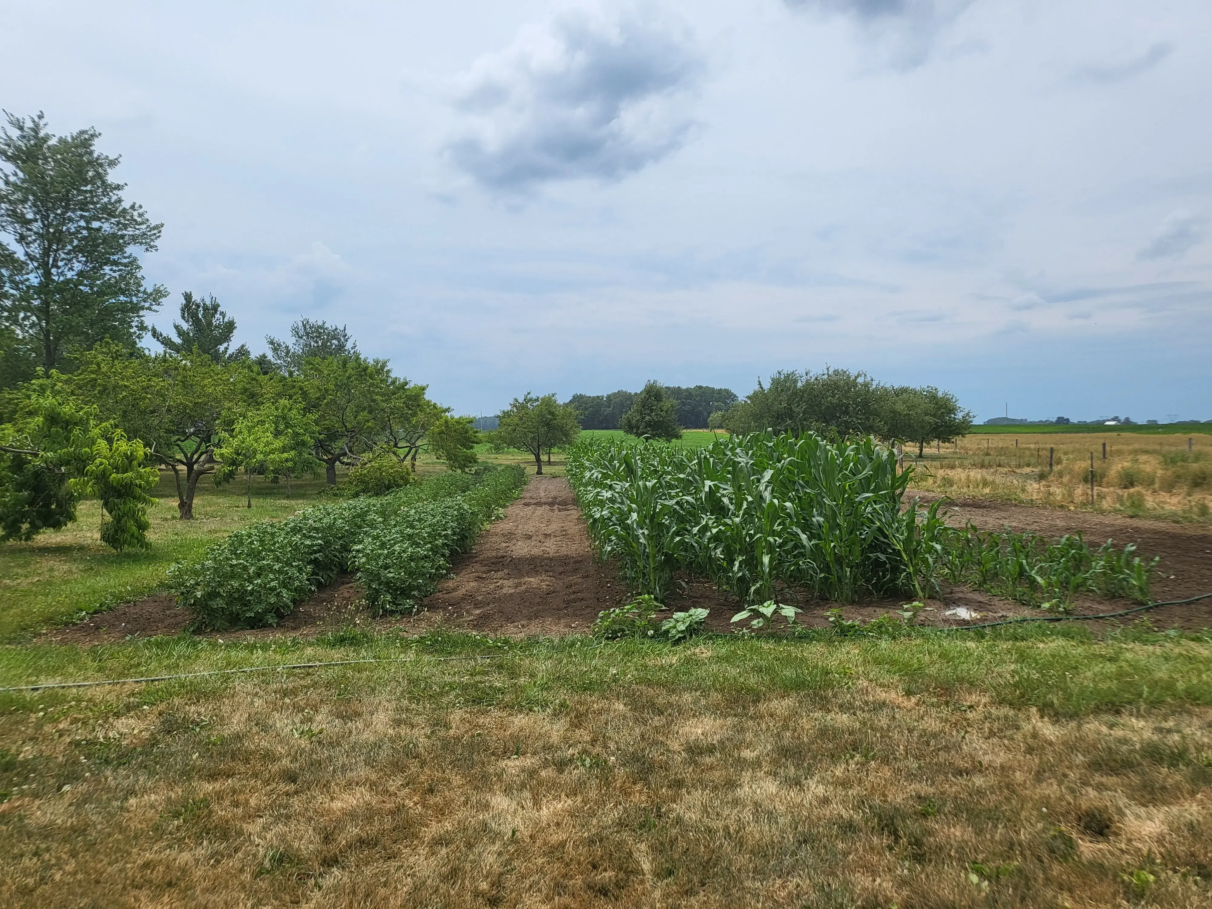 Valley of Grace - Image 20 of 20