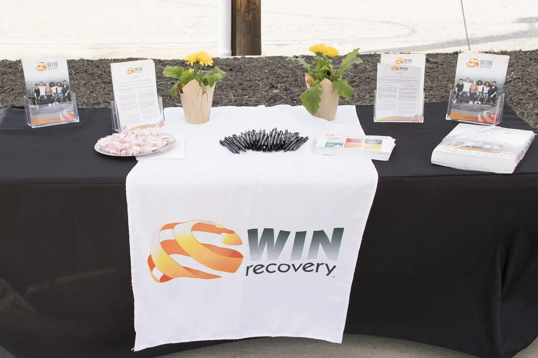 WIN Recovery - Image 4 of 20