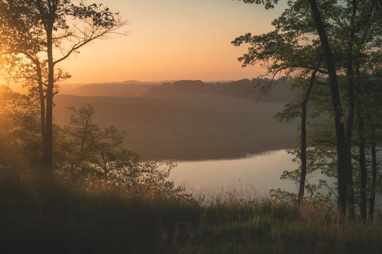 Dimethyltryptamine (DMT) hero