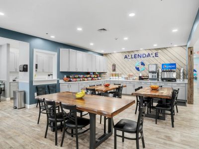 Allendale Treatment - Image 1 of 20