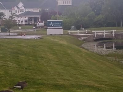 Anabranch Recovery Center - Image 20 of 20