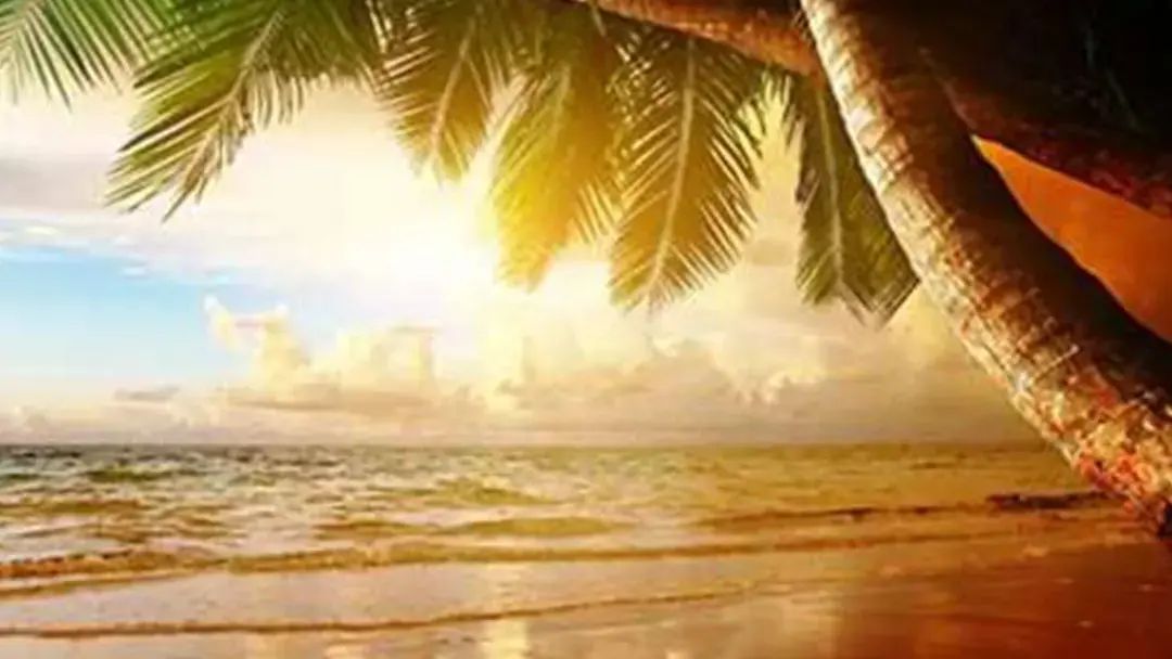 Better Life Wellness Center - Image 1 of 3