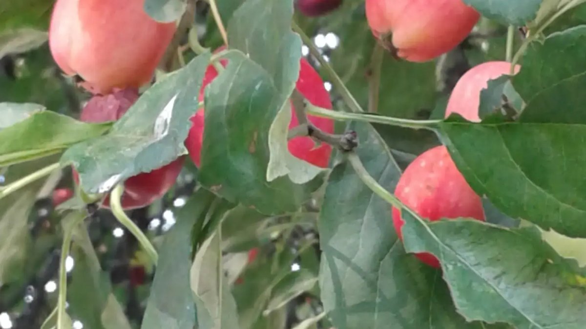 Brown Building - Image 9 of 9