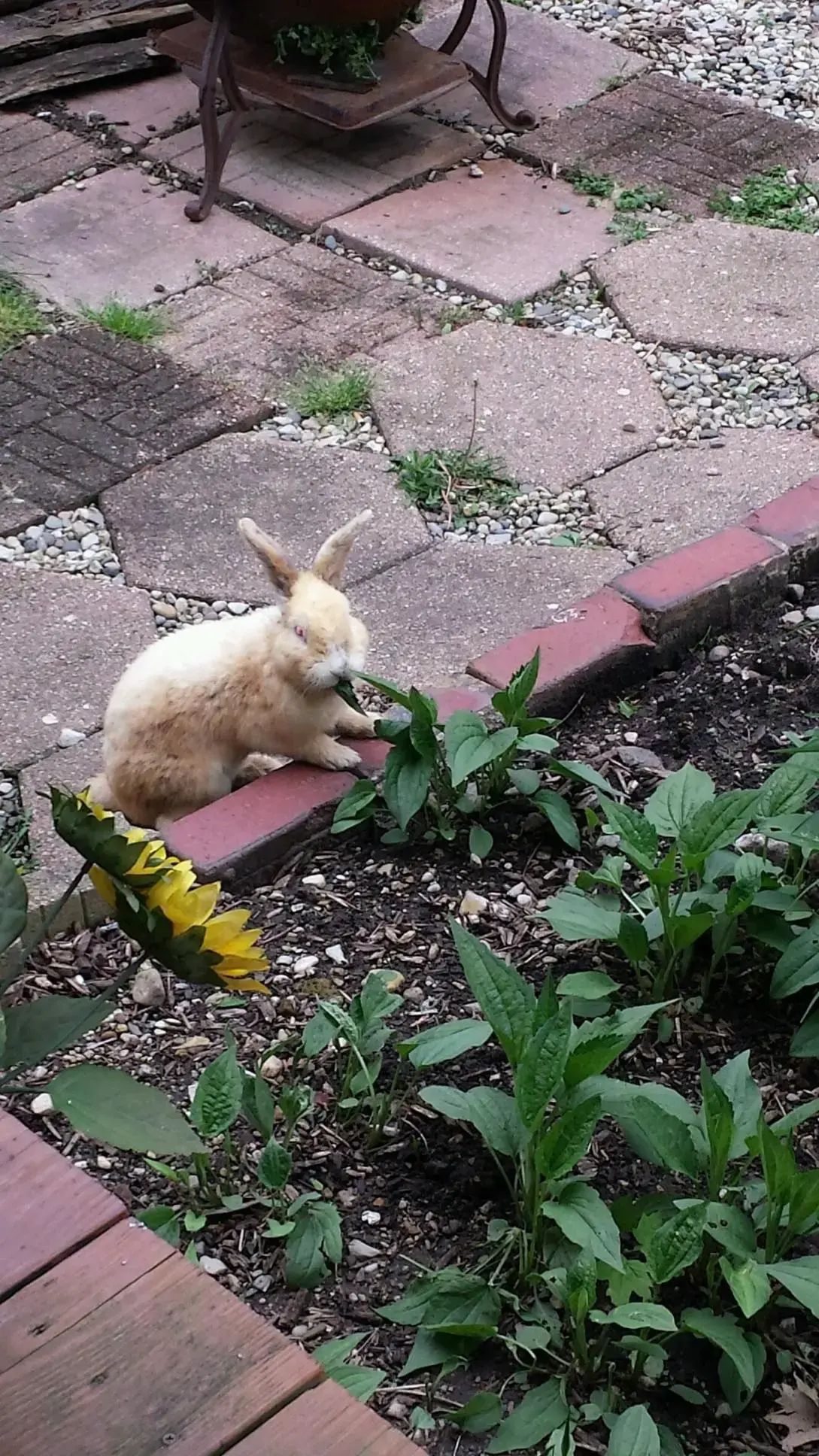 House of Hope of Madison County - Image 2 of 2