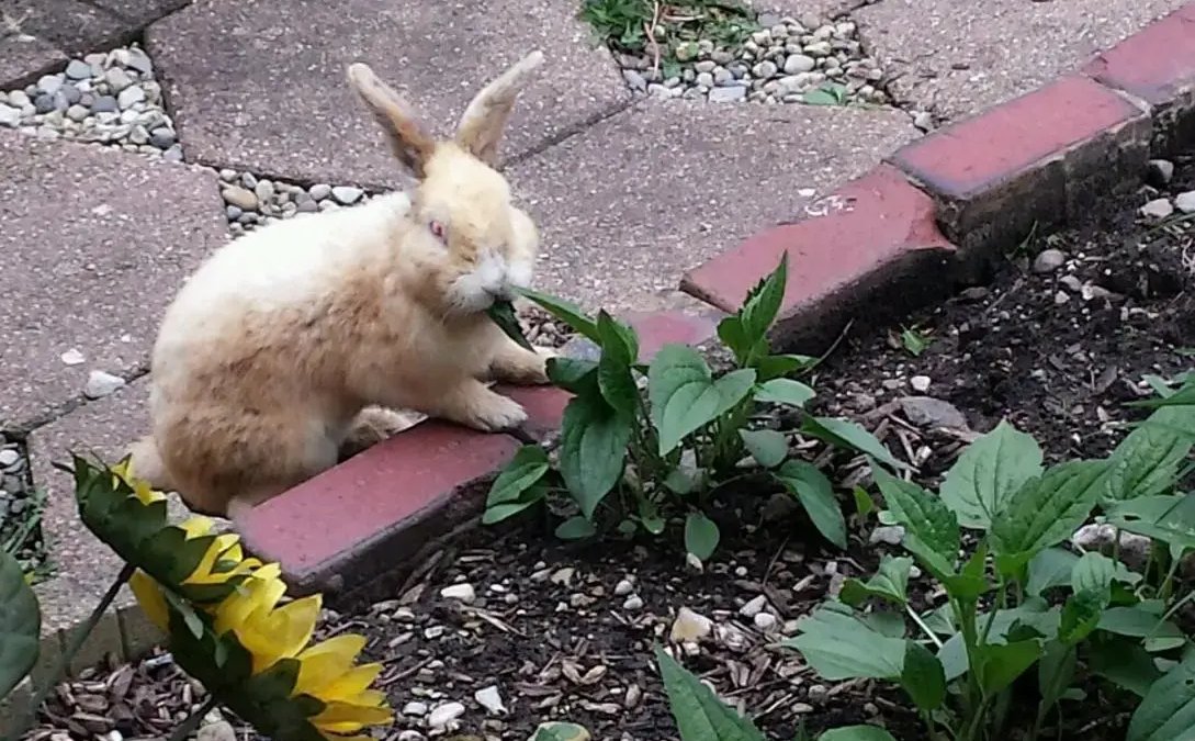 House of Hope of Madison County - Image 2 of 2