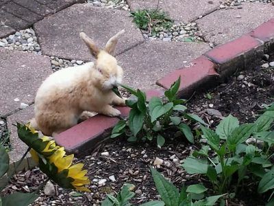 House of Hope of Madison County - Image 2 of 2