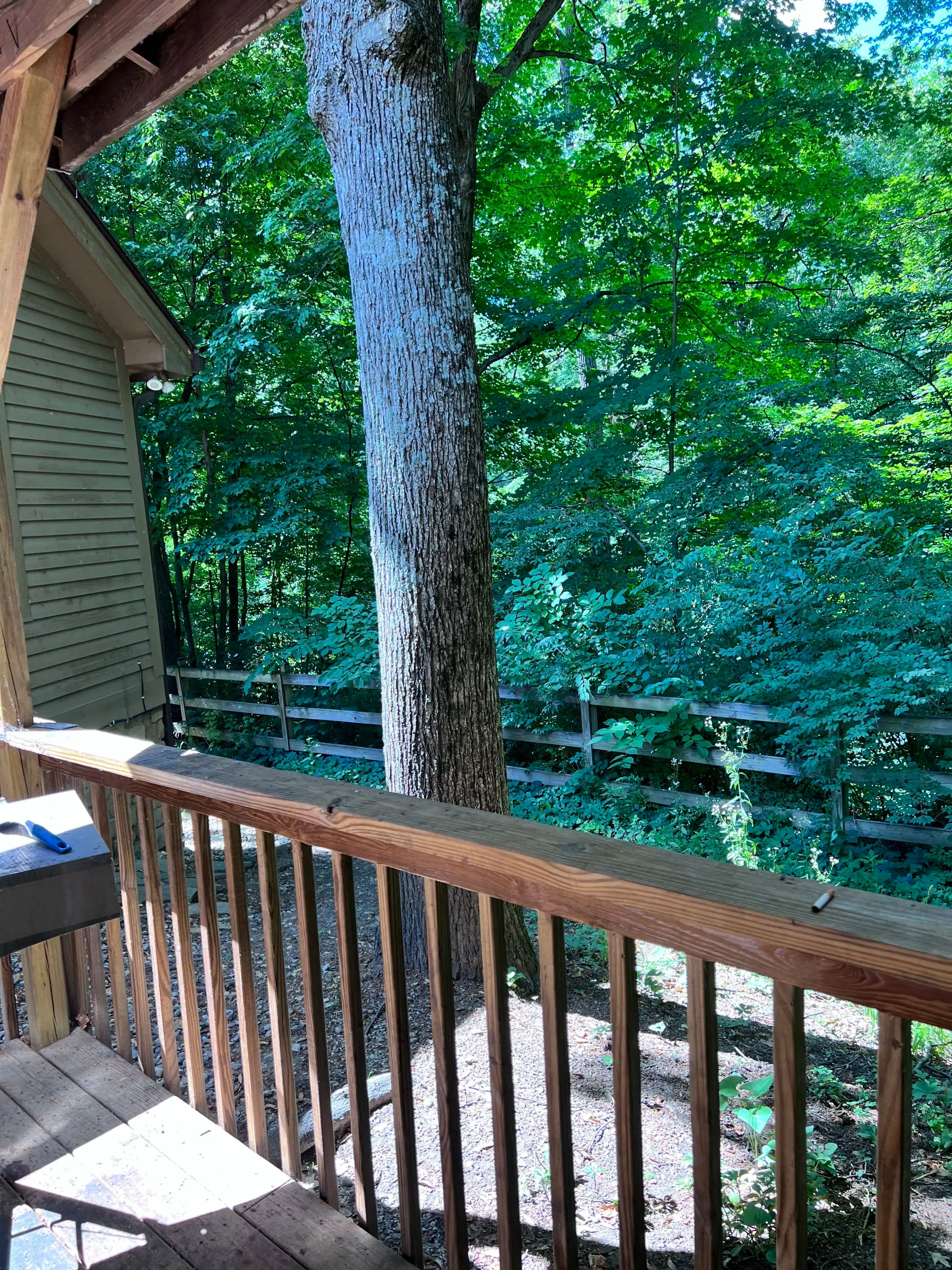 La Verna Lodge - Image 2 of 7