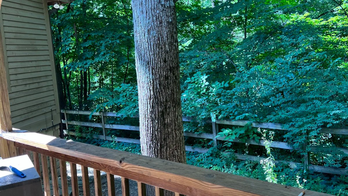 La Verna Lodge - Image 2 of 7