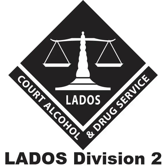 Lados Division 2 Lake County Court Administered Substance Abuse Program - Image 2 of 2