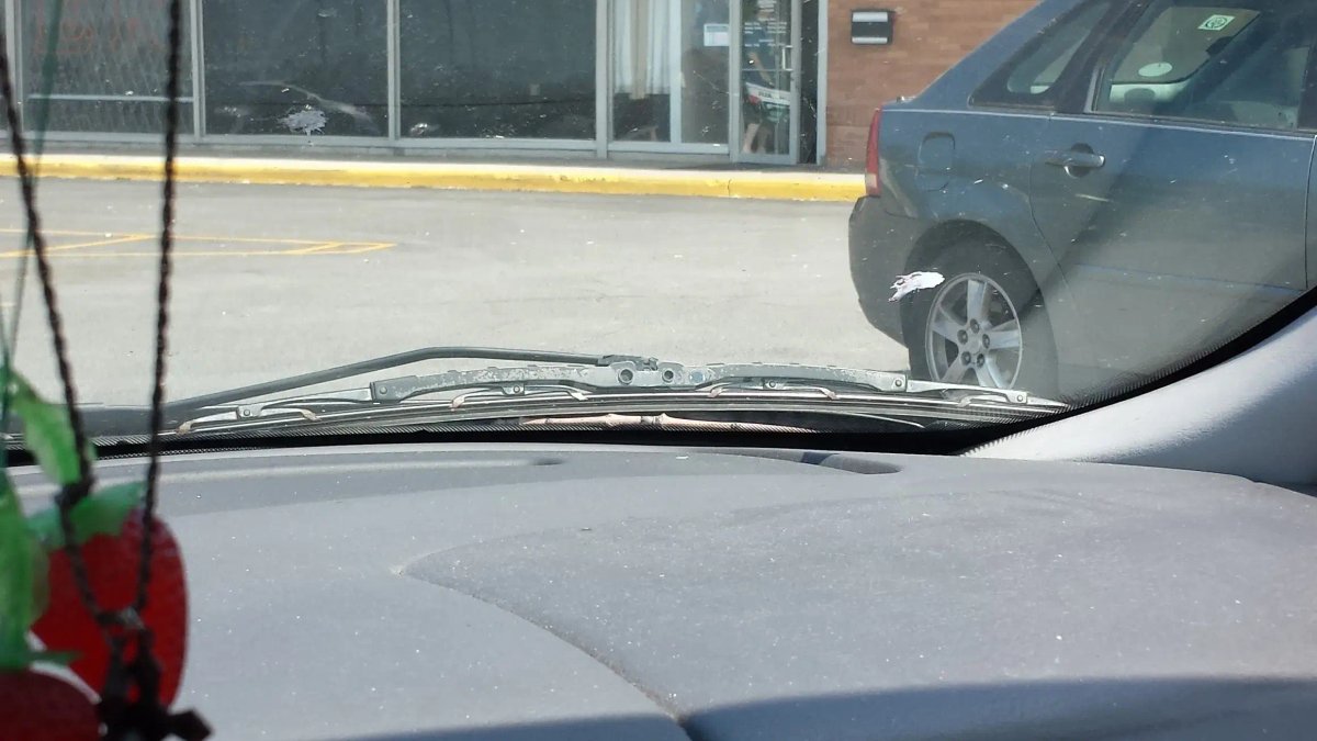 New Season - Semoran Treatment Center - Image 2 of 7