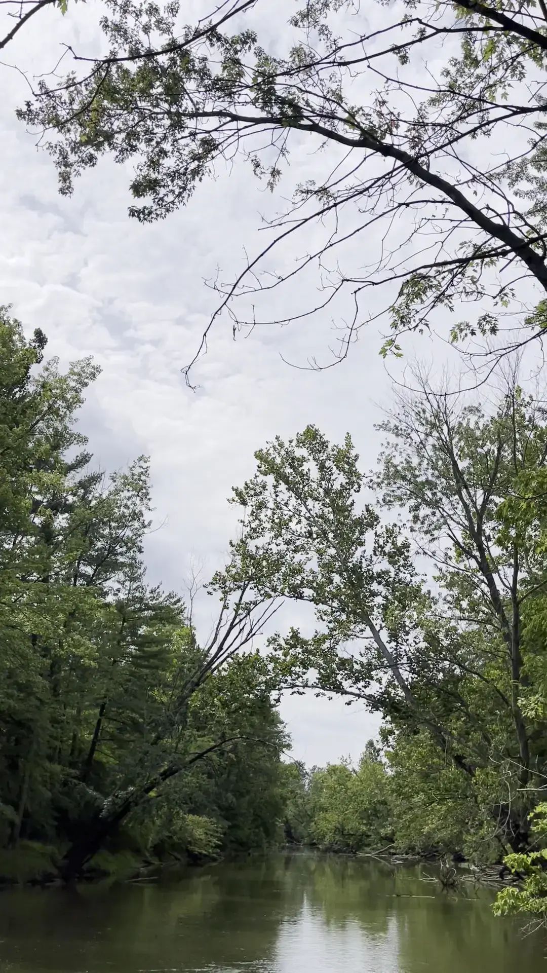 Still Water on the Wildcat Recovery - Image 19 of 19