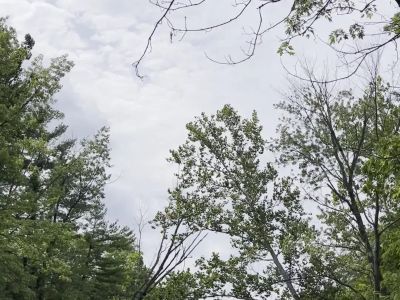 Still Water on the Wildcat Recovery - Image 19 of 19