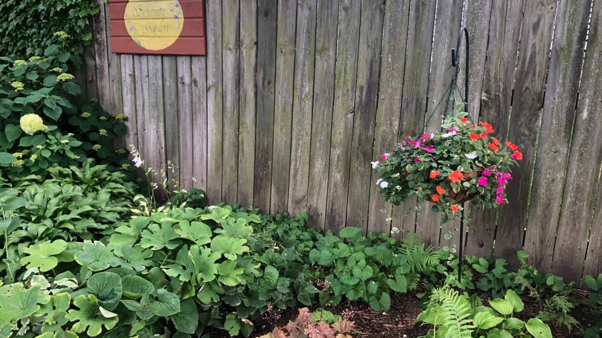 Surf Center - Image 2 of 11