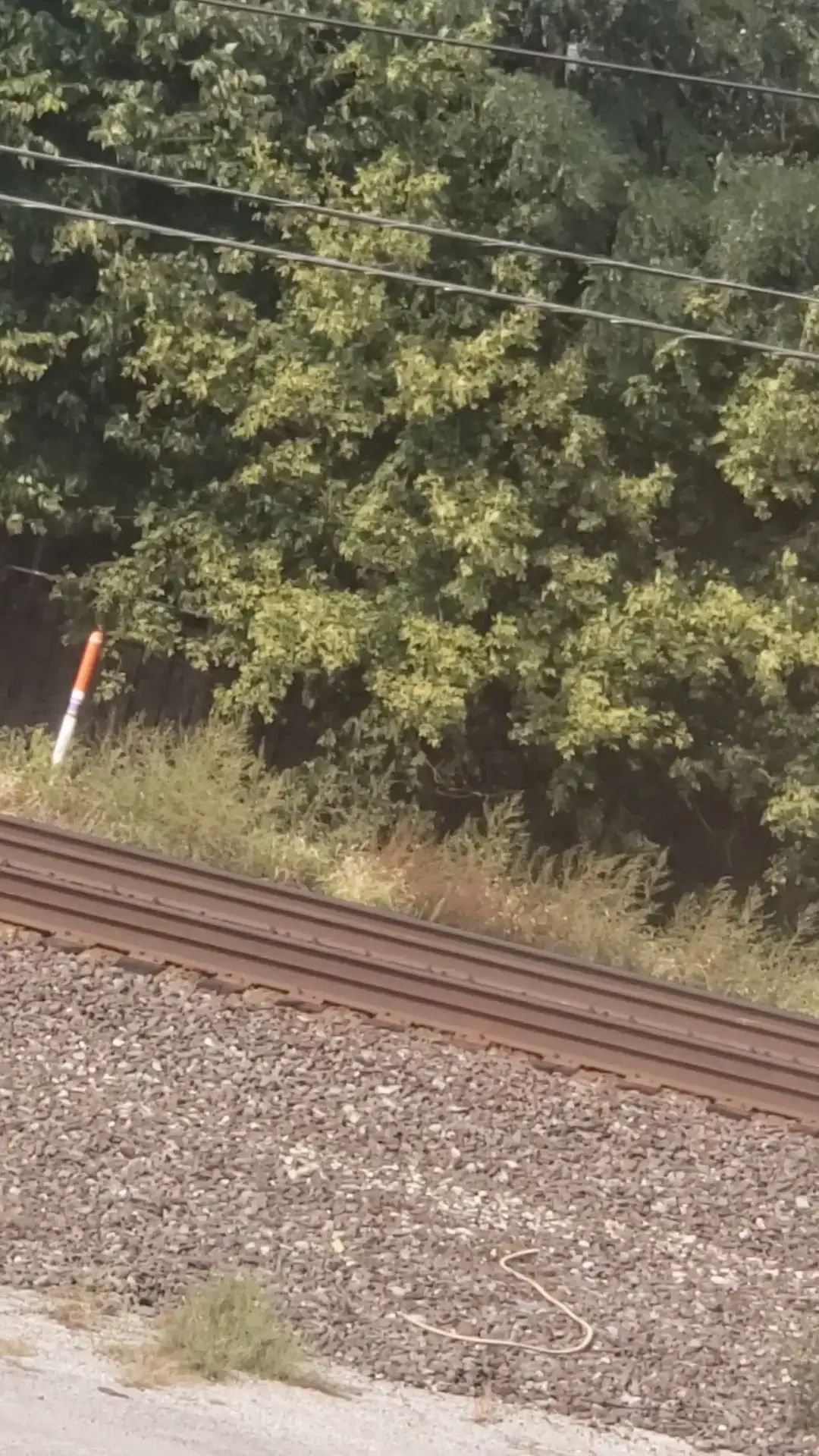 The Children Campus - Image 2 of 4