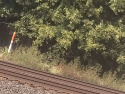 The Children Campus - Image 2 of 4