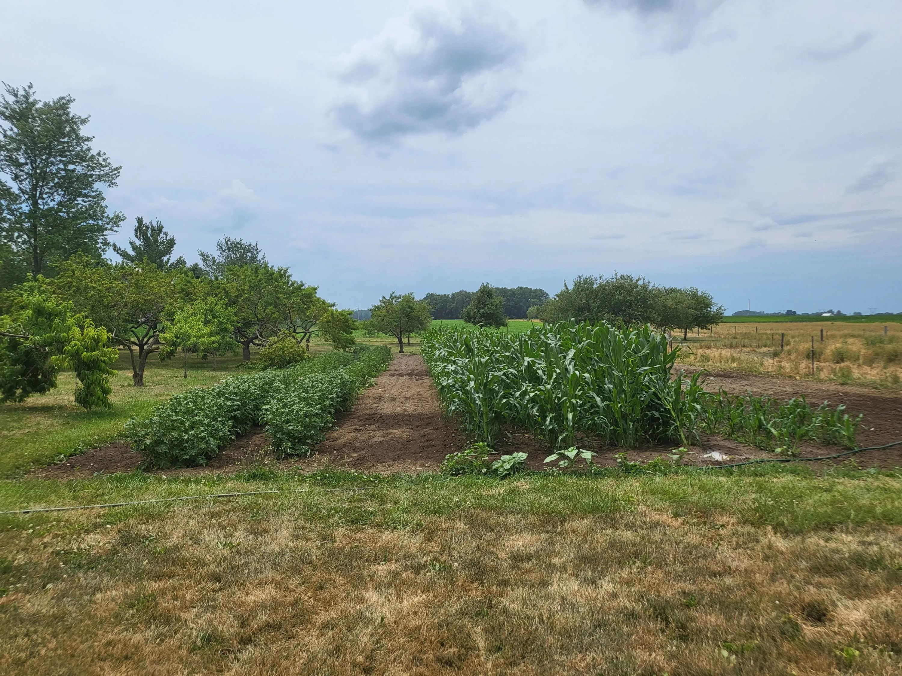 Valley of Grace - Image 20 of 20